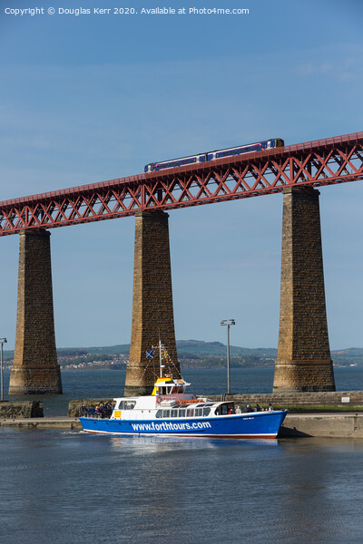 Forth Belle docks with tour passengers at South Qu Picture Board by Douglas Kerr