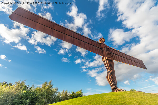 Angel of the North, front view, Gateshead Picture Board by Douglas Kerr