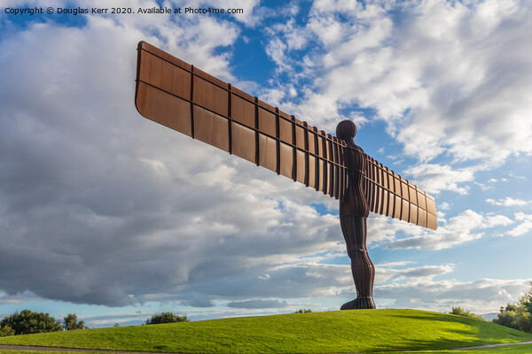Angel of the North, rear view, Gateshead Picture Board by Douglas Kerr