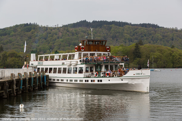 The MV Swan docking at Lake Windermere Picture Board by Douglas Kerr