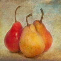 Buy canvas prints of Pears by Mike Sherman Photog