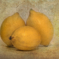 Buy canvas prints of Lemons by Mike Sherman Photog