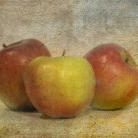 Buy canvas prints of Apples by Mike Sherman Photog
