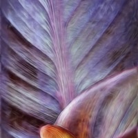 Buy canvas prints of leaf by Mike Sherman Photog