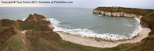 Panoramic View of Thornwick Bay, Yorkshire Framed Mounted Print by Terry Senior