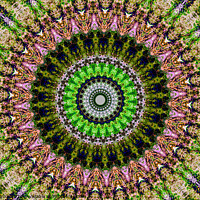 Buy canvas prints of Abstract Digital kaleidoscopic Art by Terry Senior