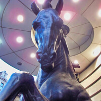 Buy canvas prints of One of The Four Bronze Horses Of Helios, Piccadilly Circus. London by Terry Senior