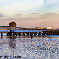 Buy canvas prints of Panorama: Flock of seabirds on the River Thames. by Terry Senior