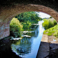 Buy canvas prints of Melbourne Canal Head, Pocklington Canal by Terry Senior