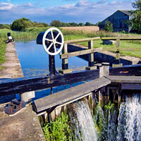 Buy canvas prints of Walbutt Lock, Pocklington Canal by Terry Senior