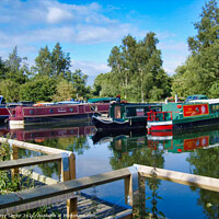 Buy canvas prints of Narrowboats at Melbourne Canal Head, Pocklington C by Terry Senior