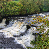 Buy canvas prints of Aysgarth Falls middle flight of the triple flight  by Terry Senior
