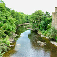 Buy canvas prints of Aysgarth Bridge over the River Ure at Aysgarth Fal by Terry Senior