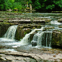 Buy canvas prints of Aysgarth Falls top flight of the waterfalls by Terry Senior