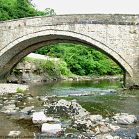 Buy canvas prints of Bridge over the River Ure in the Yorkshire Dales by Terry Senior