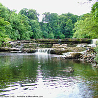 Buy canvas prints of Waterfalls at Aysgarth on the River Ure in the Yor by Terry Senior