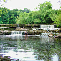 Buy canvas prints of Aysgarth Falls top flight of the waterfalls by Terry Senior