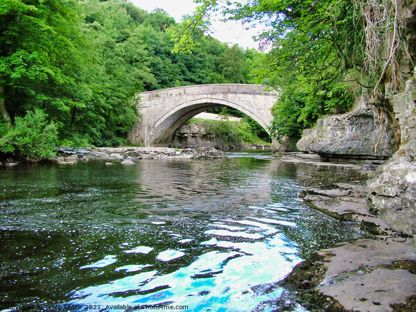 Looking towards the Bridge at Aysgarth on the Rive Framed Mounted Print by Terry Senior