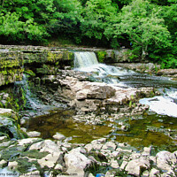 Buy canvas prints of A rocky River Ure at Aysgarth Falls in the Yorkshi by Terry Senior