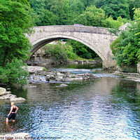 Buy canvas prints of Bathing in the River Ure at Aysgarth Falls in the  by Terry Senior