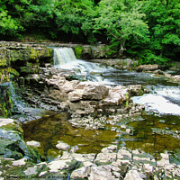 Buy canvas prints of The start of Aysgarth Falls in the Yorkshire Dales by Terry Senior