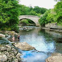 Buy canvas prints of Bathers in the River Ure at Aysgarth Falls in the  by Terry Senior