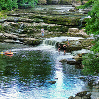 Buy canvas prints of Bathers enjoying the River Ure at Aysgarth Falls by Terry Senior