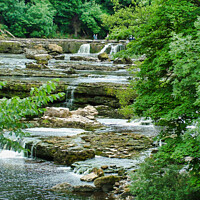 Buy canvas prints of Waterfalls in the Woods at Aysgarth in the Yorkshi by Terry Senior