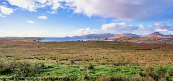 Panorama of Sligachan, Cuillin Hills, Isle of Skye Framed Mounted Print by Terry Senior