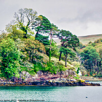 Buy canvas prints of View across the bay at Portree, Isle of Skye, Scot by Terry Senior