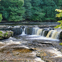 Buy canvas prints of Upper Aysgarth Falls in Summer on the River Ure at by Terry Senior