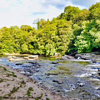 Buy canvas prints of Panoramic view from the Upper Falls at Aysgarth Falls by Terry Senior