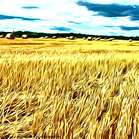 Buy canvas prints of Hay-Ho Airbrushed Corn field by Terry Senior