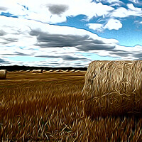Buy canvas prints of Hay making agricultural landscape airbrushed  by Terry Senior