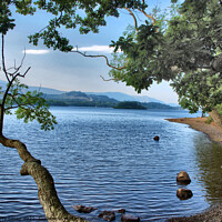 Buy canvas prints of HDR image of a lake in the Lake District Cumbria  by Terry Senior