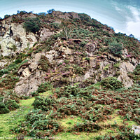 Buy canvas prints of Hillside in Rannerdale Cumbria in the Lake District HDR by Terry Senior
