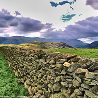 Buy canvas prints of Drystone Wall in Cumbria Lake District  by Terry Senior