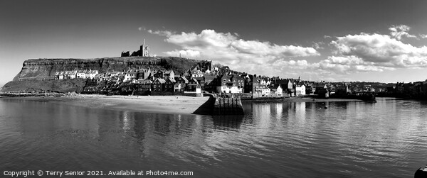 A B&W Panoramic view of Whitby Beach and Harbour Framed Mounted Print by Terry Senior