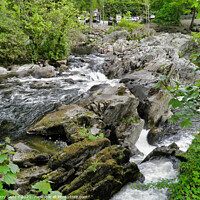 Buy canvas prints of A waterfall in a forest at Betws-y-Coed by Terry Senior