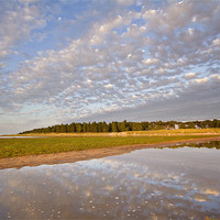 Buy canvas prints of Reflective Times on Holkham Beach by Paul Macro