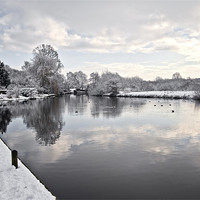 Buy canvas prints of Winter on Coltishall Common by Paul Macro