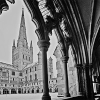 Buy canvas prints of Norwich Cathedral From the Cloisters by Paul Macro