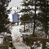 Buy canvas prints of Snowy Stairs to Wells Beach by Paul Macro