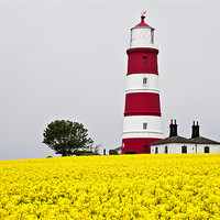 Buy canvas prints of Happisburgh Lighthouse Golden Mist by Paul Macro