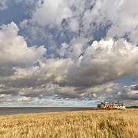 Buy canvas prints of Life on the Edge in Weybourne by Paul Macro