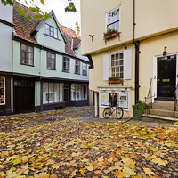 Buy canvas prints of Elm hill in Autumn by Paul Macro