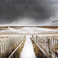 Buy canvas prints of Winter Storm over Holkham by Paul Macro
