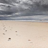 Buy canvas prints of Footprints in the Sand by Paul Macro