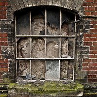 Buy canvas prints of Window into the past by Paul Macro