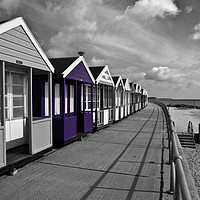 Buy canvas prints of Purple Aubergine Beach Huts in Southwold by Paul Macro